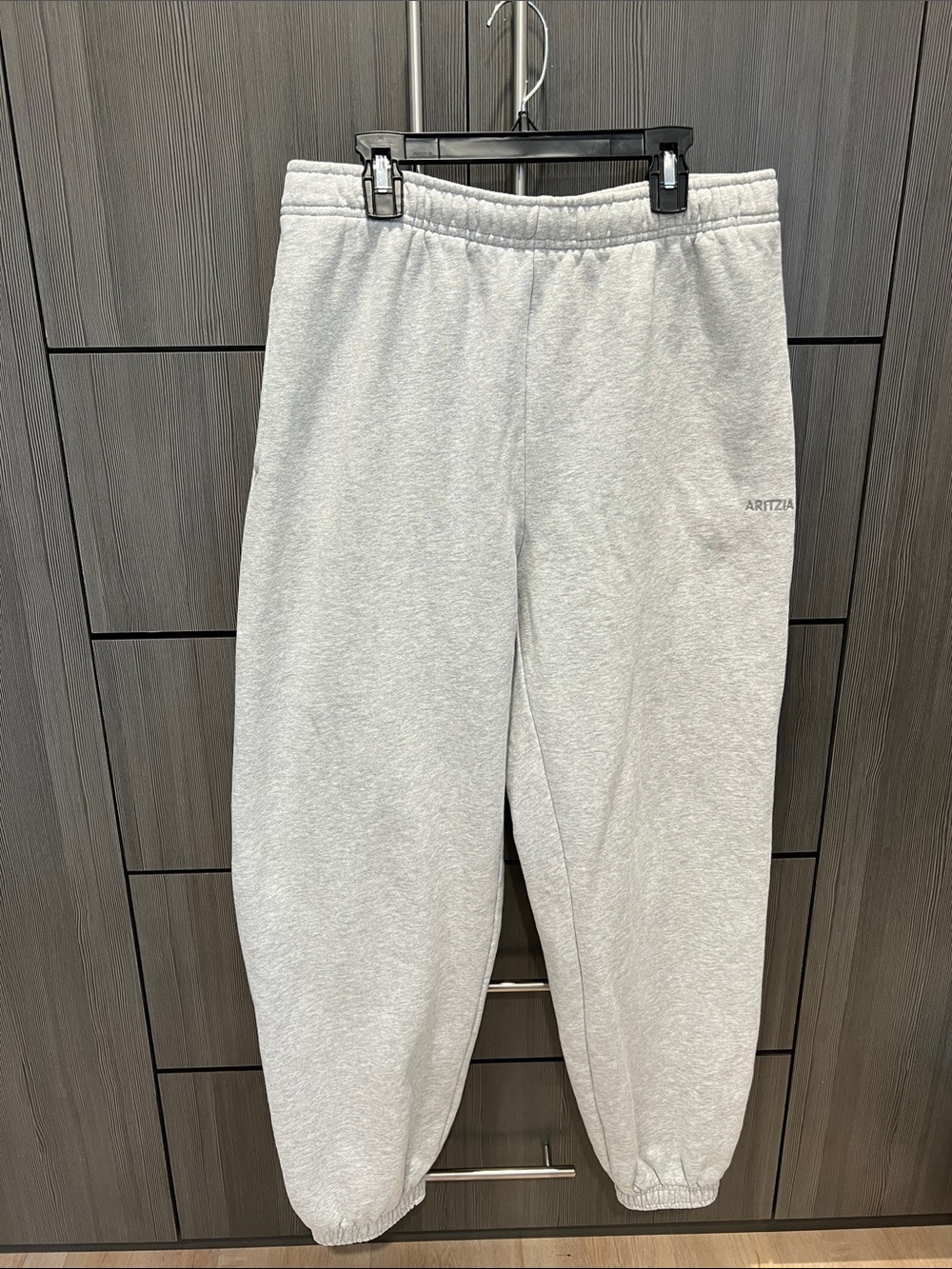 Aritzia Light Heather Gray Men's Joggers